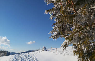 Wintersonne im Naturpark Almenland