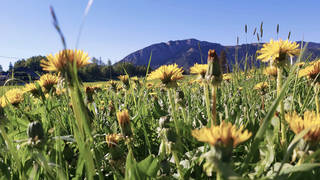 Ausflug Nechnitz / Picknick / Wanderung