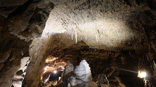 Lurgrotte Peggau flowstonecave in styria