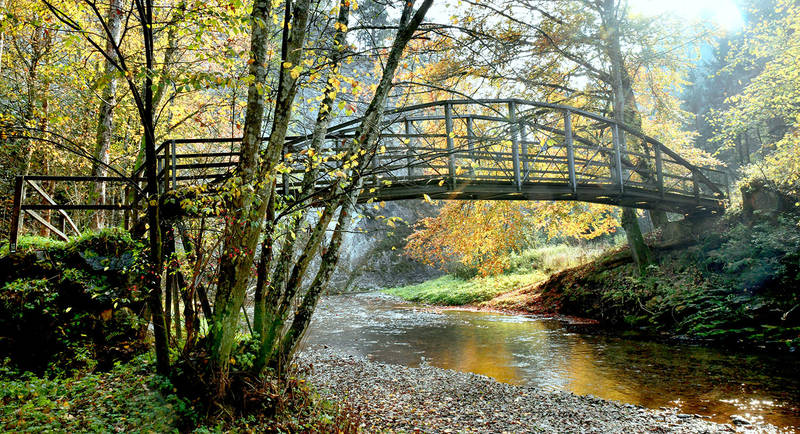 Brücke in der Raabklamm