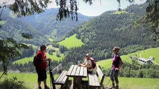 Stoakogler Heimatwanderweg / Wanderurlaub / Gasen