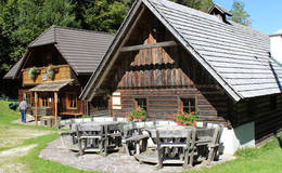 Schreinhofer Mühle in Gasen