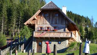 Troadkost'n mountain hut holiday house in Styria