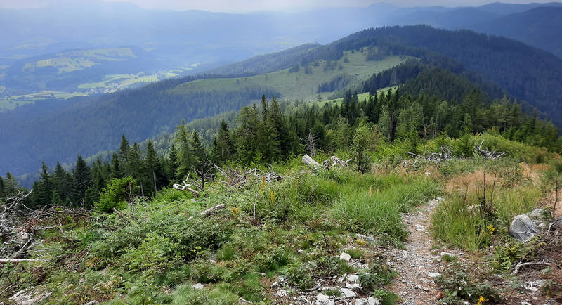 Ausblick Alm-Runde über Raaburpsrung Foto WEGES