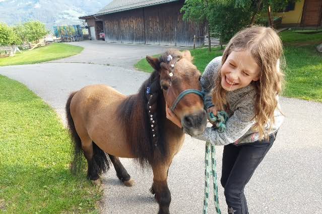 Minipony am Biobauernhof