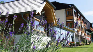 Landhotel Spreitzhofer **** holiday in Styria