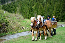 Horse cottage drives along the Mixnitz River