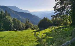 Ausblick auf den Hochlantsch Foto Pollhammer