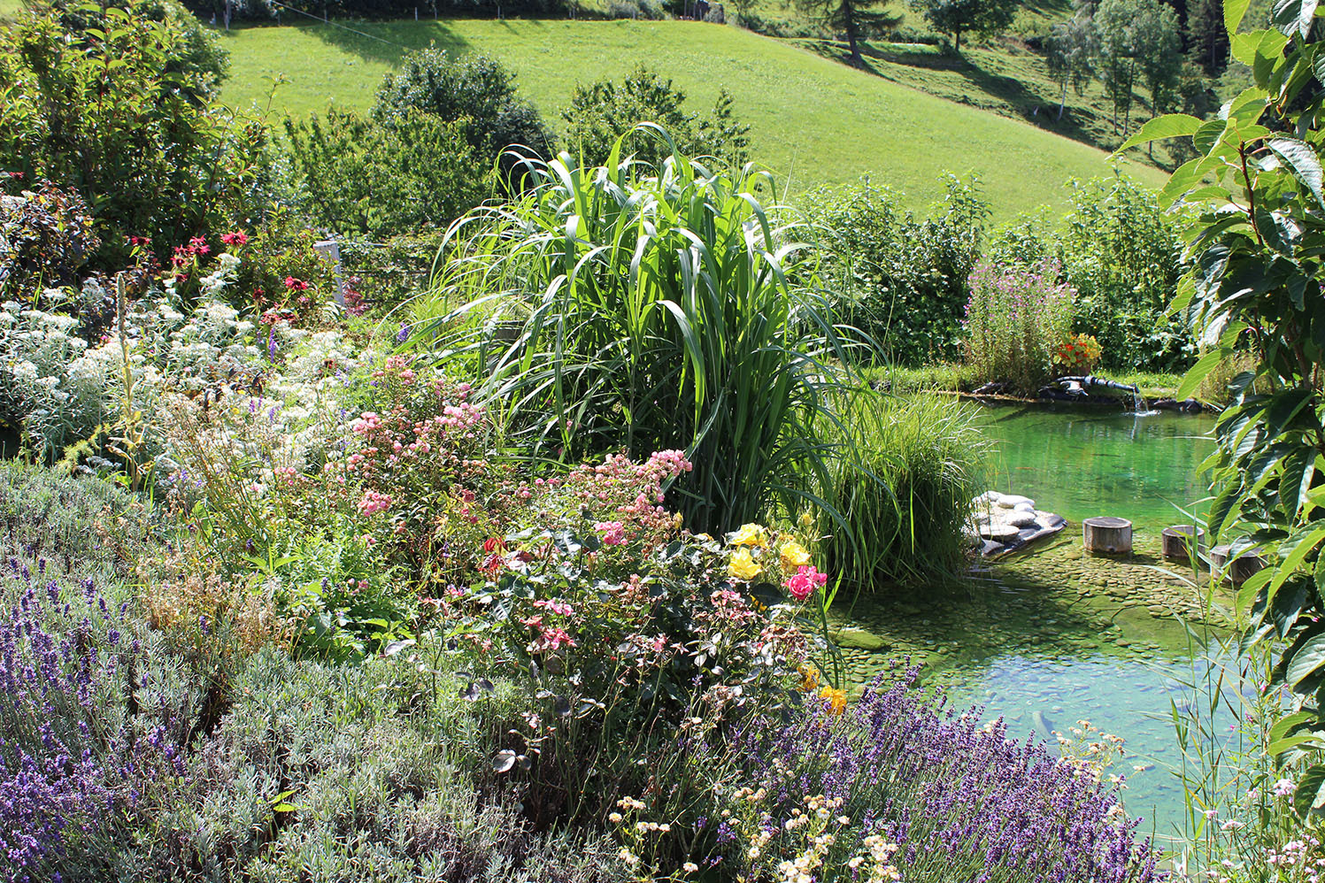 Garten beim Pöllabauer