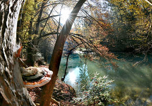 Raabklamm / Natura 2000 Gebiet / Steiermark