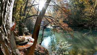 Raabklamm / Natura 2000 Gebiet / Steiermark