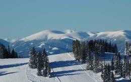 Winter panorama view