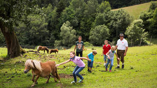 Holidays on the farm in the Nature Park