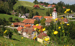 Wanderweg um Koglhof in der Gemeinde Birkfeld