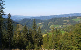 Hofbaueralm-Runde Ausblick Eibegg