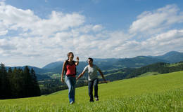 You can do some hiking tours and a lot of leissure activities on the Schöckl