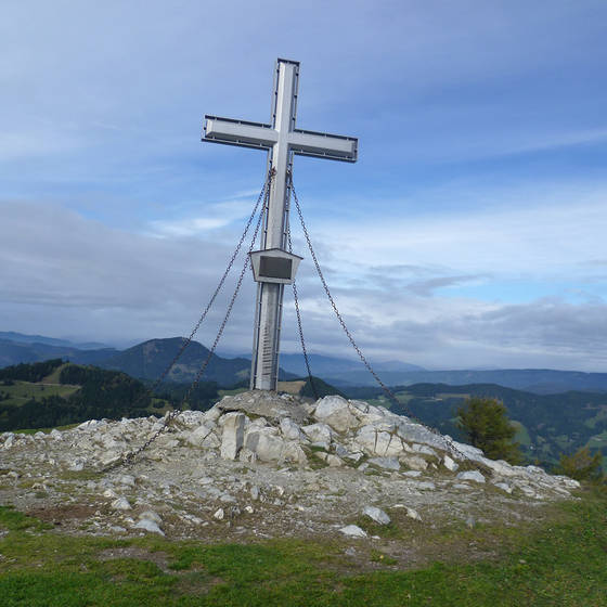 Plankogelkreuz