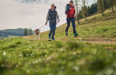 Wandern mit Hund im Naturpark Almenland