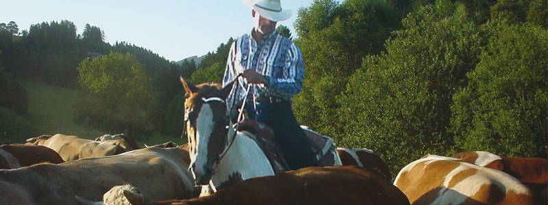 Western riding at sunhill ranche
