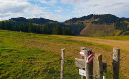 Haberstall-Runde Ausblick Foto Pollhammer