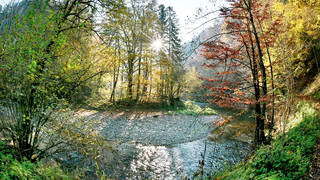 Raab Gorge / Natura 2000 area / Hiking