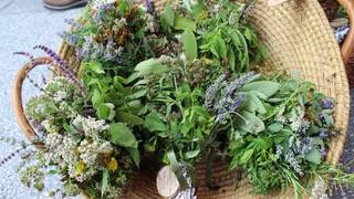 Almenland herbs regional products from Styria