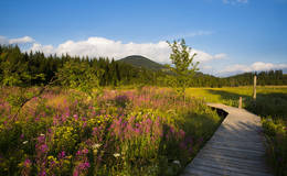 Teichalm-Moor Teichalm-Moor