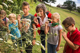 Vielseitige Angebote beim Naturerlebnisprogramm 