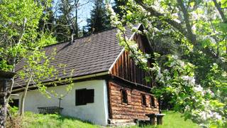 Romantic "Hahnhütte" holiday house in Styria