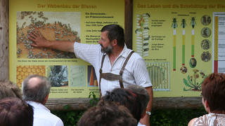 Group tours in the Nature Park in Styria