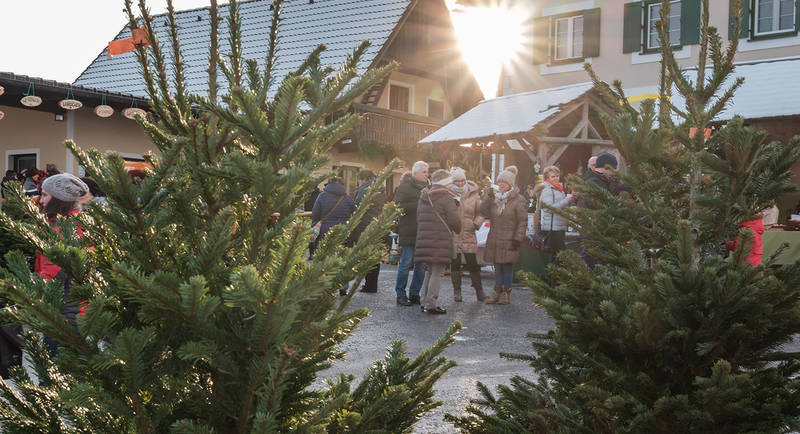 Advent market at Moarhofhechtl