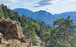 Predigtstuhl Wanderweg Foto Petra Nebel