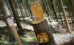 Wooden sculpture owl