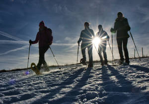 Schneeschuhwandern / Winterwandern / Steiermark