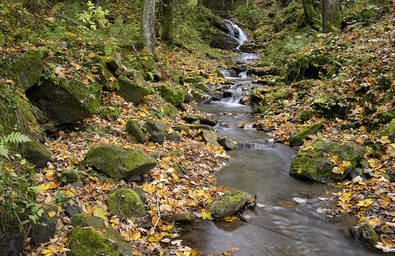 Ein Blick zur Raabklamm im Almenland