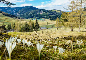 Angebote / Naturpark / Steiermark