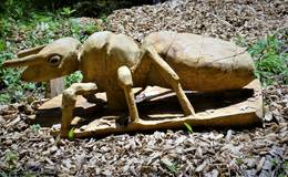 Wooden sculpture beetle