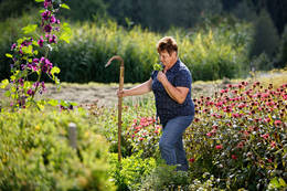 In the middle of a herb garden