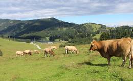 Blick auf die Teichalm