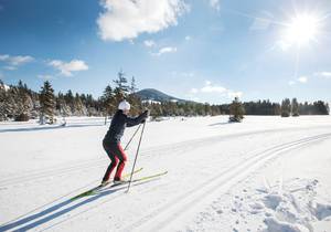 Cross-Country Skiing / Winter Holidays / Trails