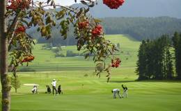 On the golf course prosper the "Vogelbeere"