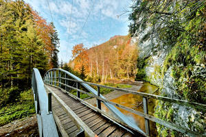 Brücke in der Raabklamm