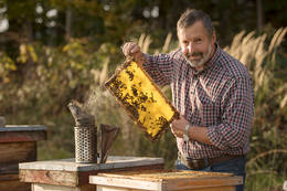 Kreiner beekeeping in Passail