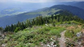 Alm-Runde über Raabursprung wandern Urlaub Steiermark