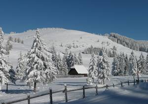 Natur-Ausflugsziele / Erleben / Naturpark