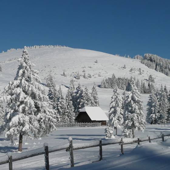 Blick auf die verschneite Winterlandschaft