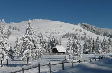 Winterlandschaft im Naturpark Almenland