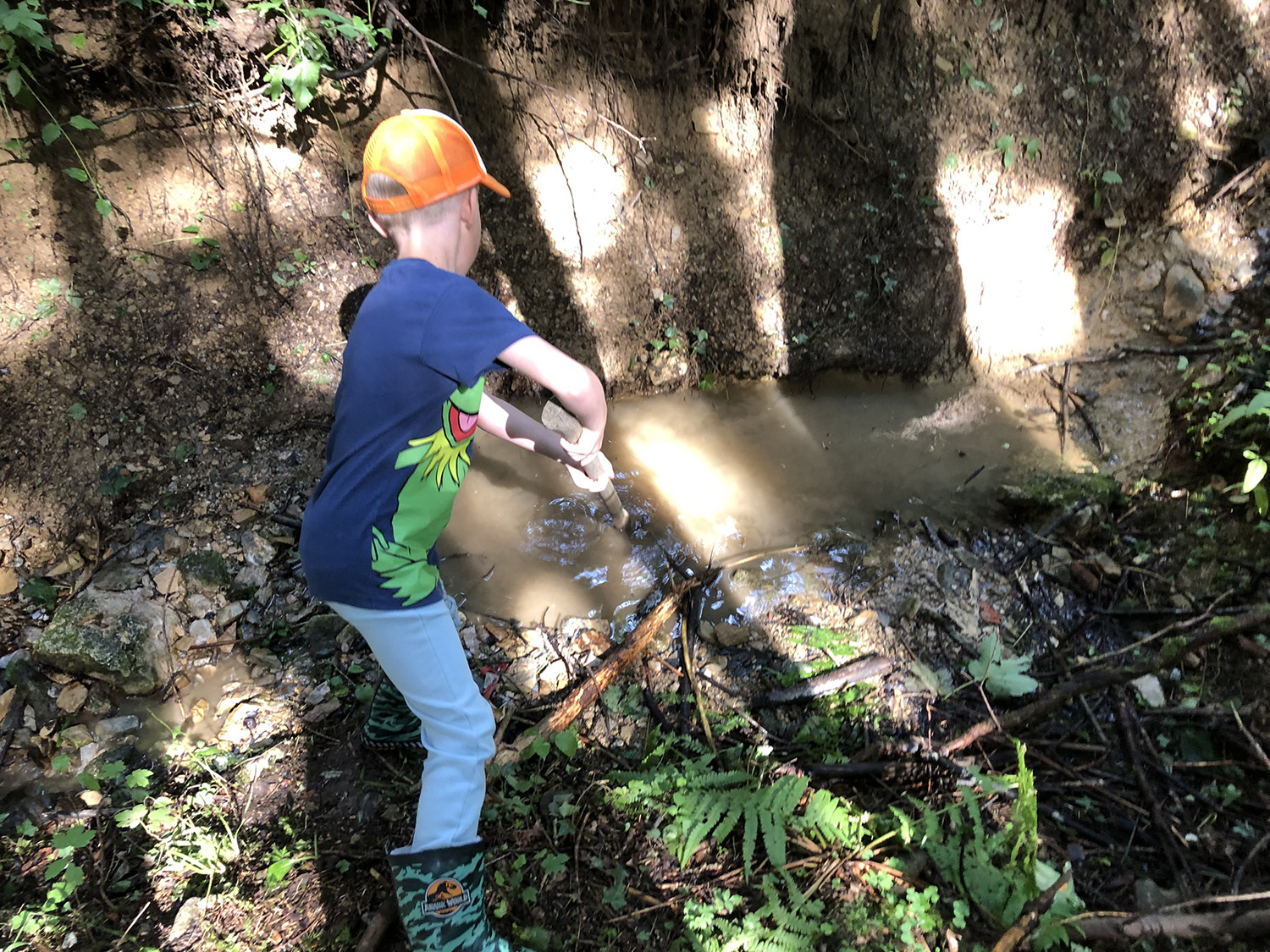 Spielen und Forschen beim Bach